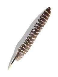 Smudge Veer – Kalkoen – 20 cm